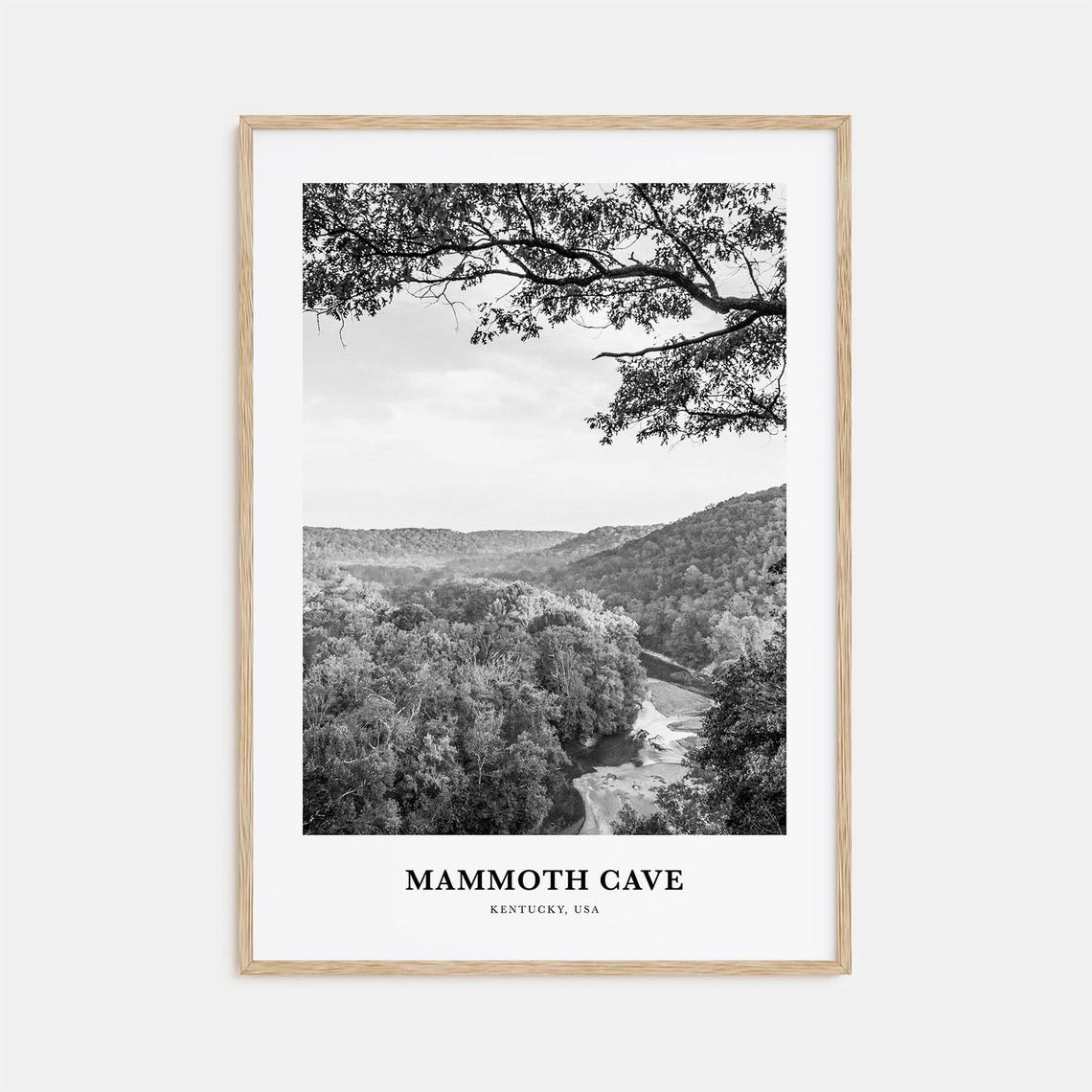 Mammoth Cave Kentucky River Valley Forest Black and White Poster