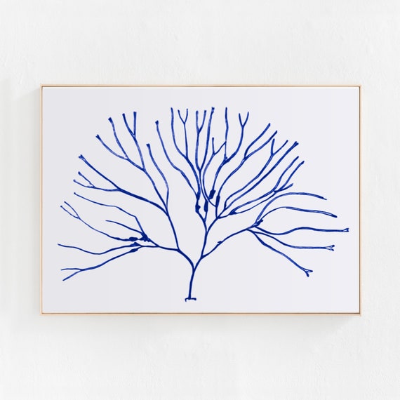 Nautical Art Print, Blue Coastal Decor