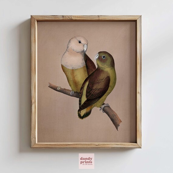 Love Birds Art Print Eclectic Retro Wall Decor Illustration