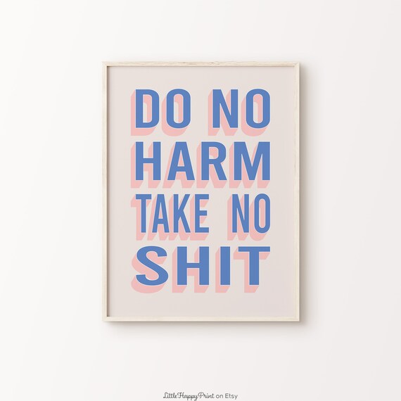 Do No Harm Take No Shit Bold Blue Pink Retro Sassy Quote Poster