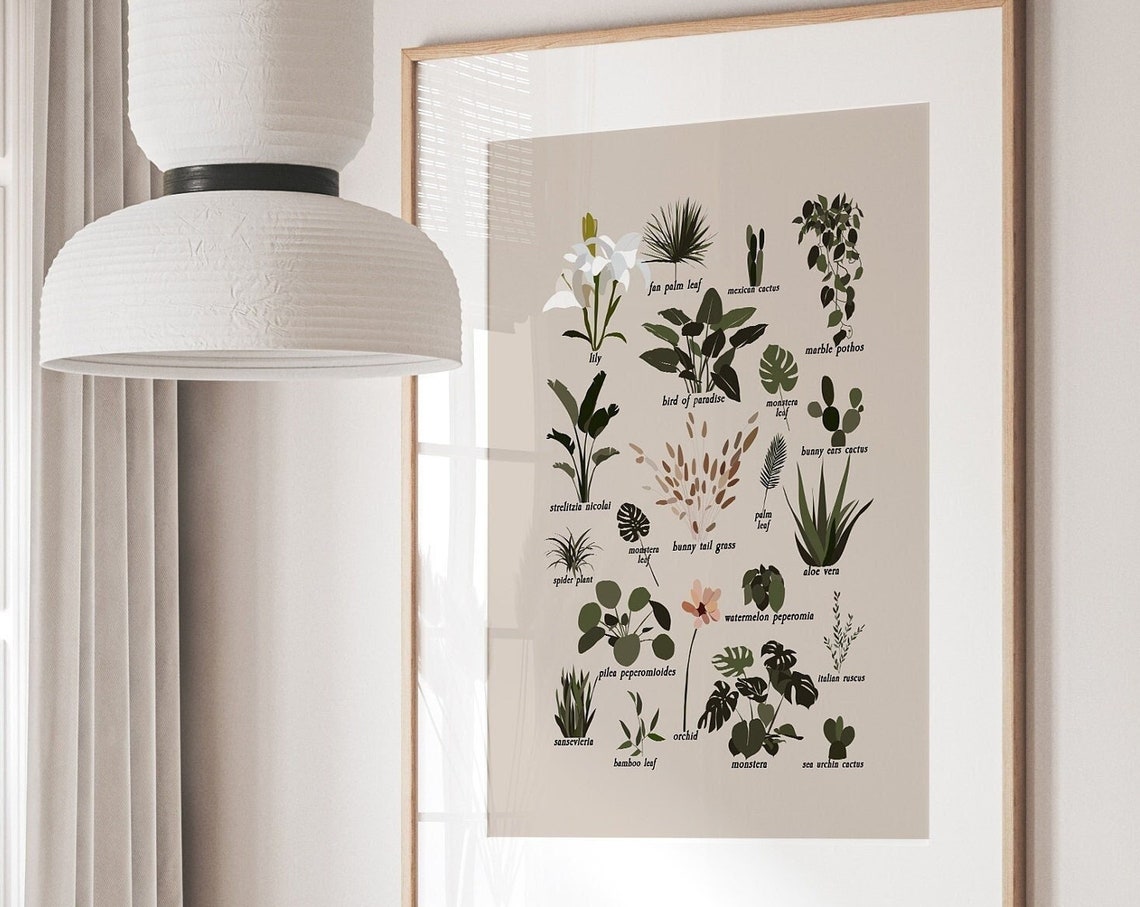Houseplant Identification Botanical Illustration Chart Wall Art - Image 2