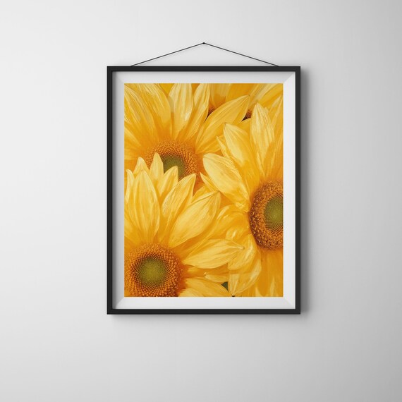 Bright Yellow Sunflowers Close Up Cheerful Floral Photo Print