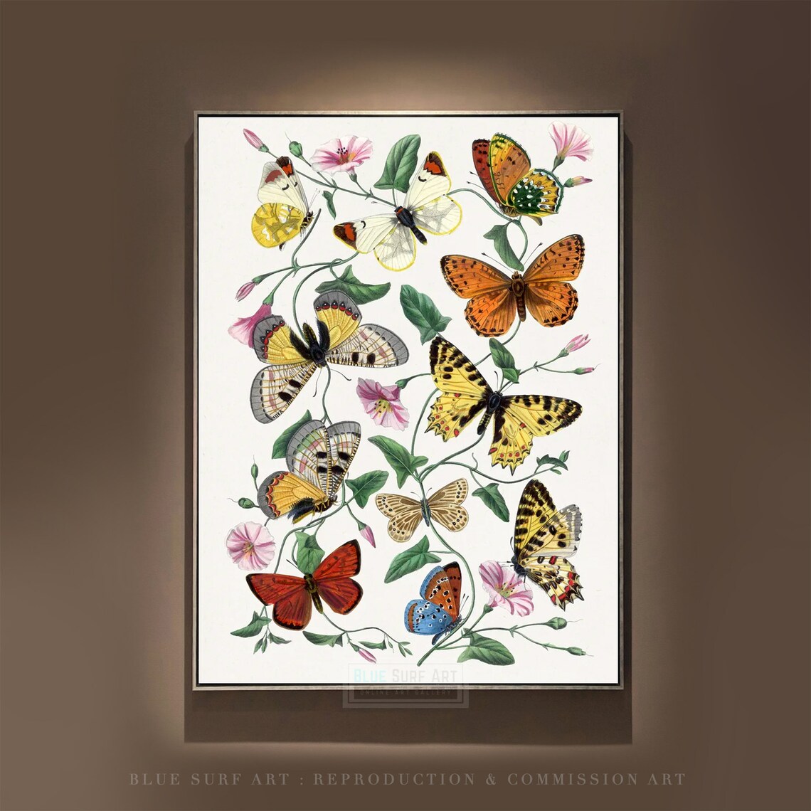 Vintage Butterflies and Moths Botanical Illustration Art Poster