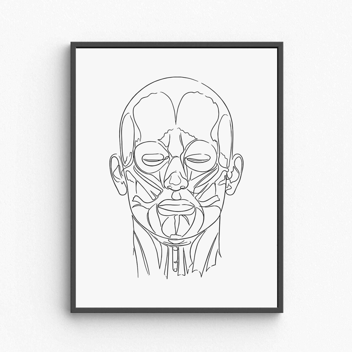 Face Muscles Anatomy Line Art Medical Diagram Vintage Poster
