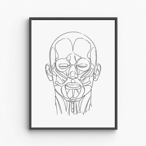 Face Muscles Anatomy Wall Art Human Facial Muscle Diagram Medical Office Decor Educational Poster