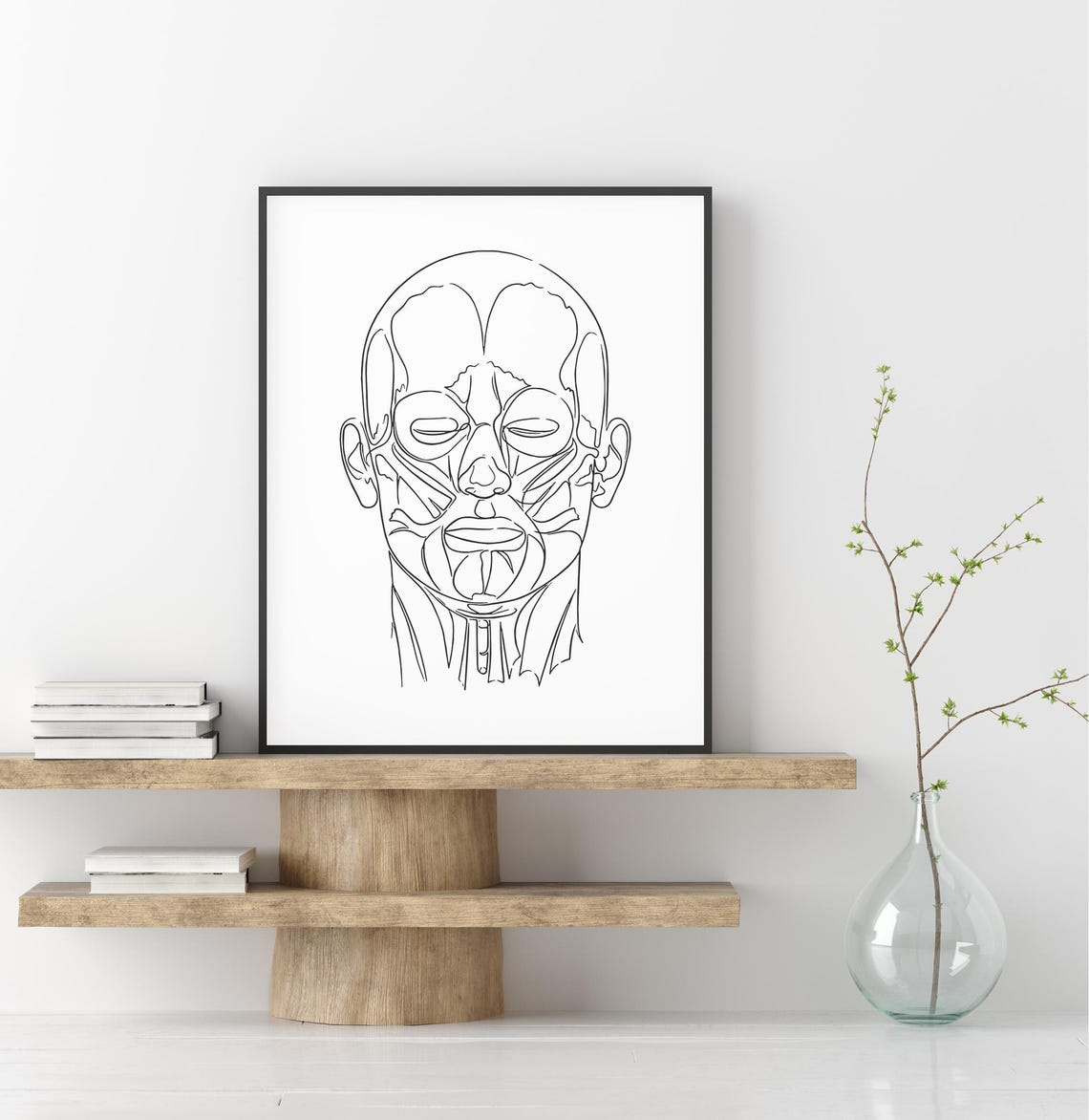 Face Muscles Anatomy Line Art Medical Diagram Vintage Poster - Image 2