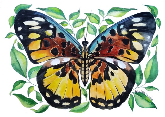 Monarch Butterfly Original Watercolor Painting Floral Botanical Artwork Garden Wall Art Butterfly Ornament Artwork Butterfly Lover Gift