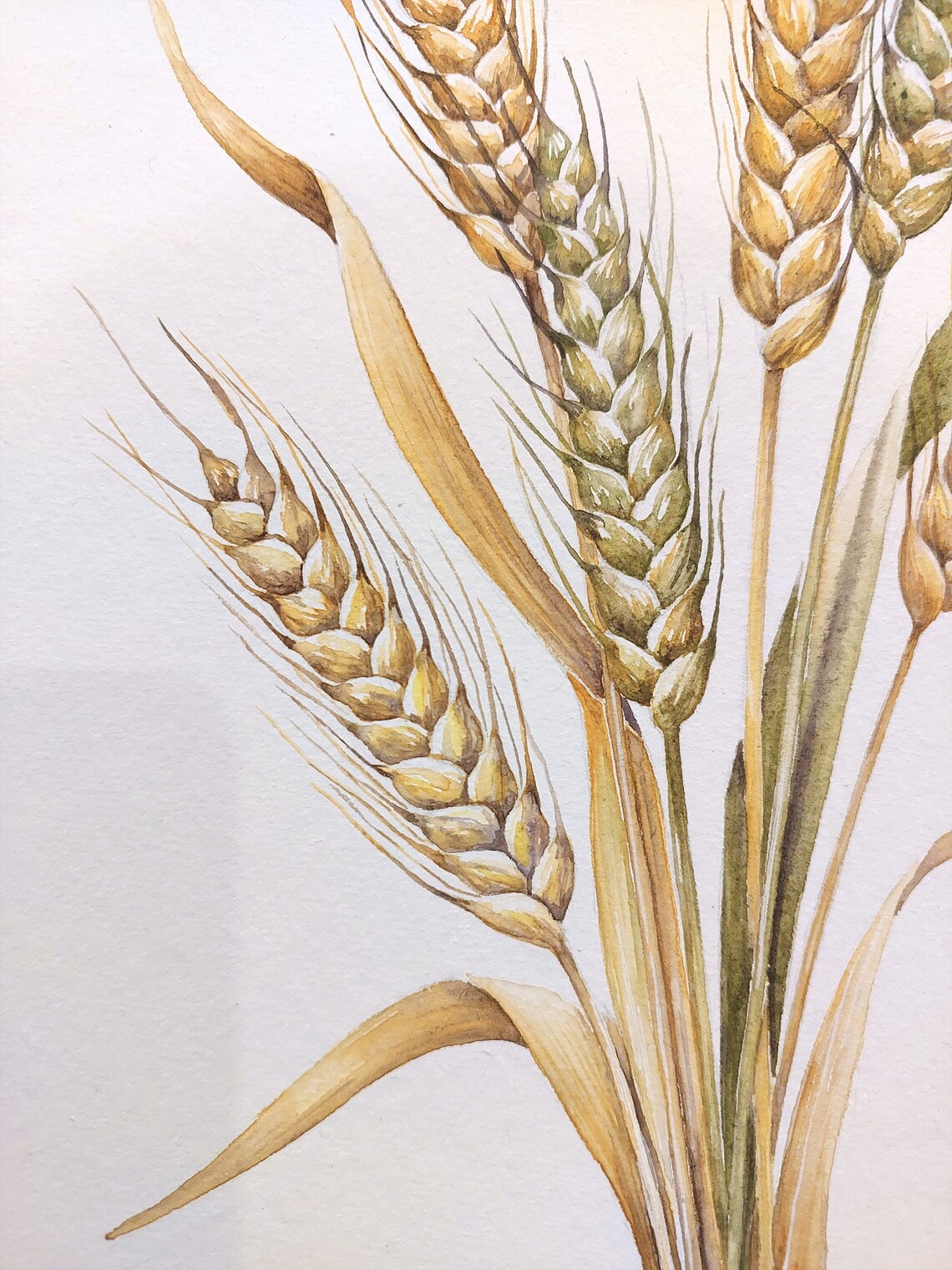 Golden Wheat Watercolor Botanical Farmhouse Kitchen Art Poster - Image 2