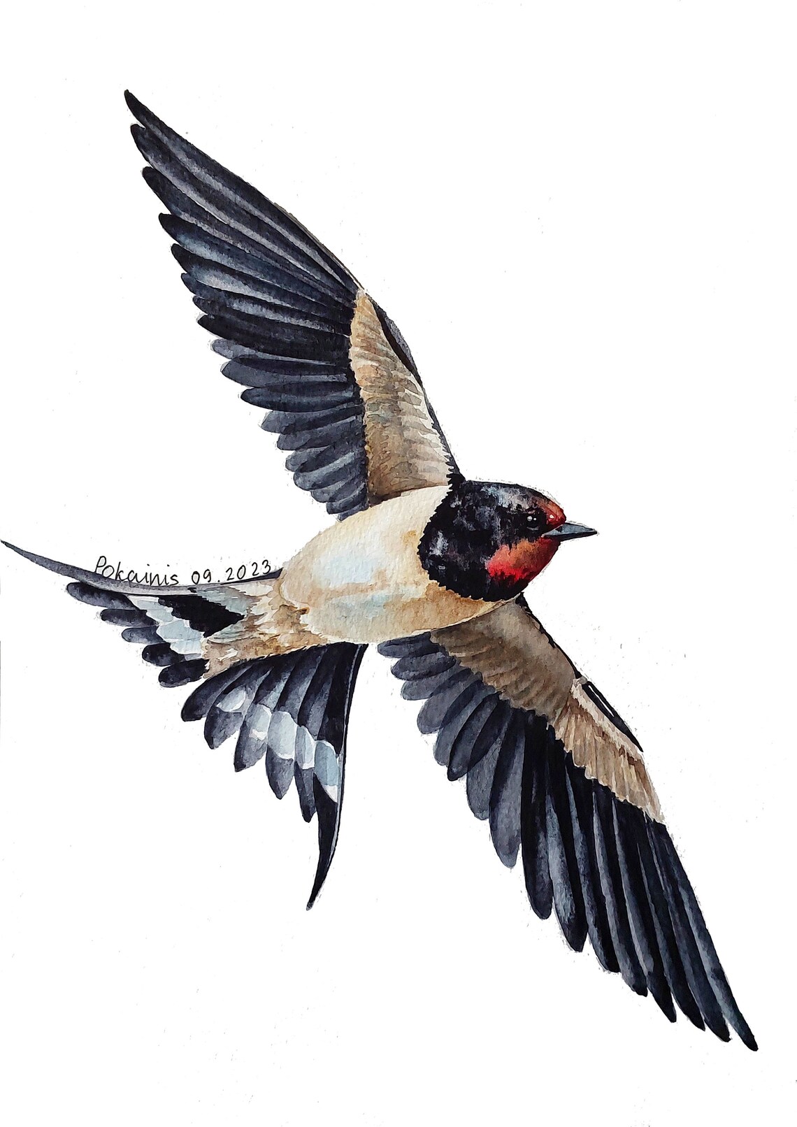 Barn Swallow in Mid Flight Watercolor Bird Wildlife Art Poster