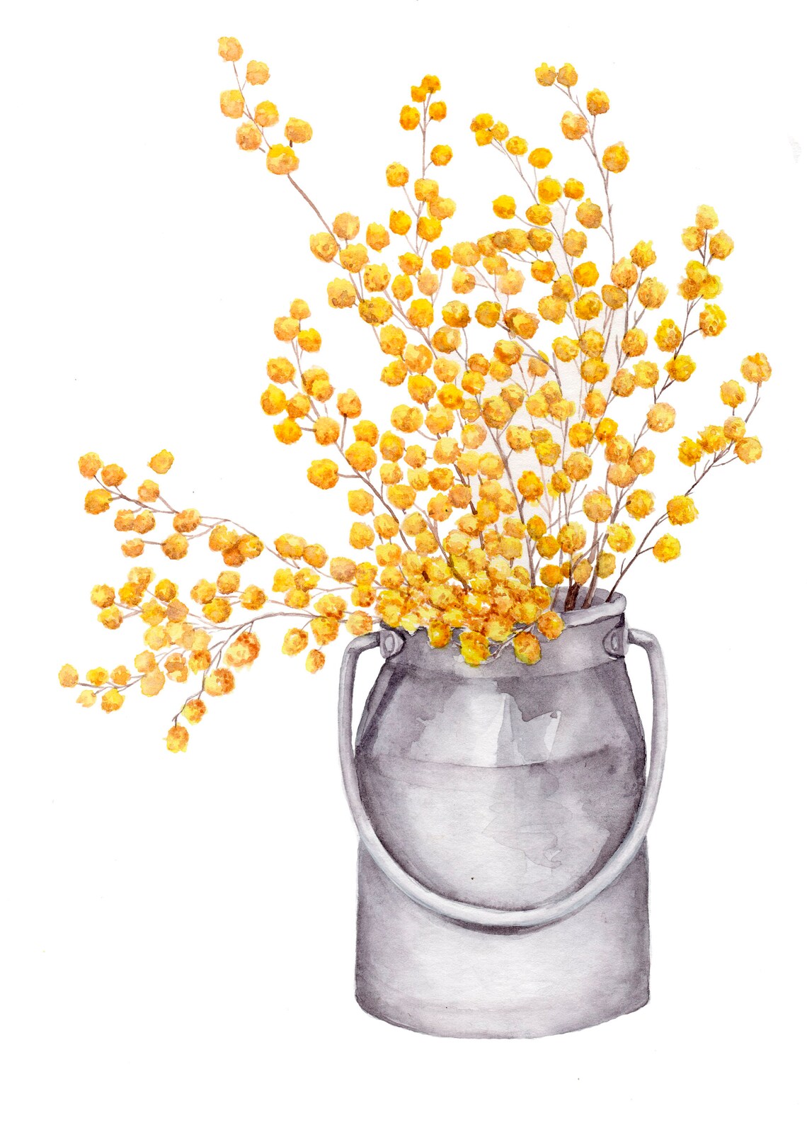 Mimosa Blossoms Overflowing Grey Milk Can Watercolor Floral Poster