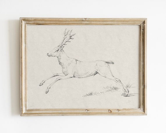 Vintage Reindeer Sketch, Winter Christmas Wall Art Print