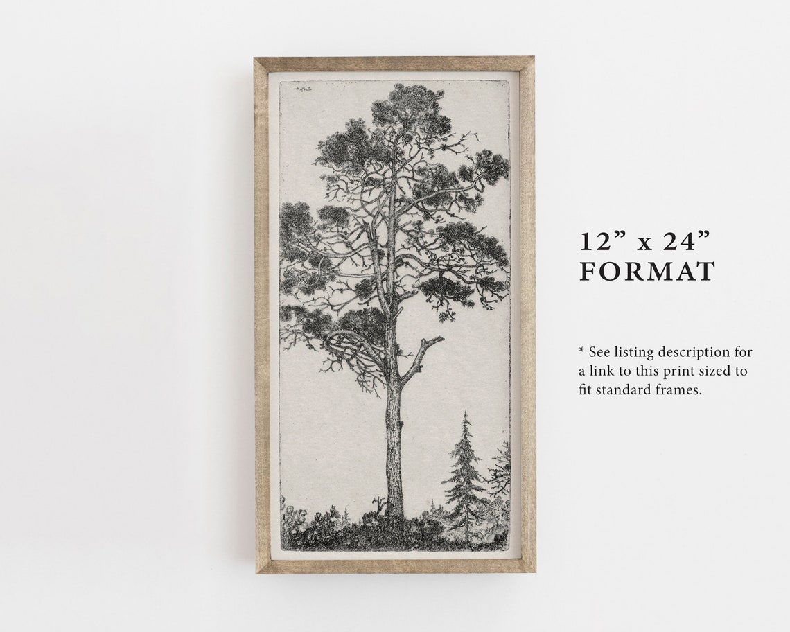 Tree Drawing Sketch Print, Vintage Botanical Art - Image 3