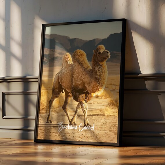 Bactrian Camel In The Desert Two Humps Wildlife Animal Poster