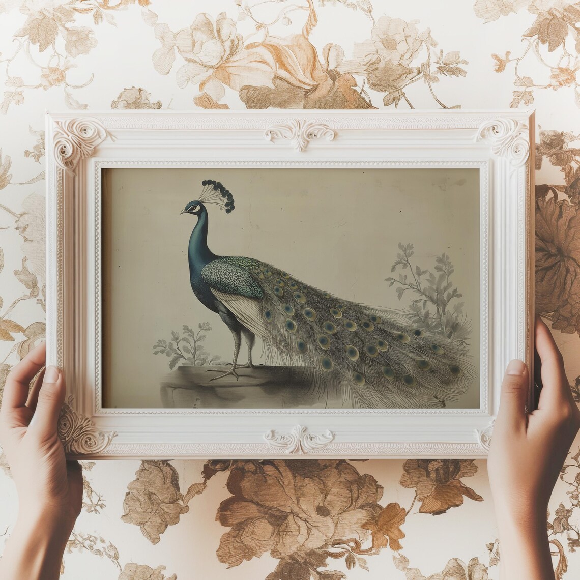 Peacock Profile Antique Bird Illustration Neutral Vintage Wall Art