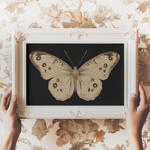 Vintage White Butterfly Print Moody Dark Insect Wall Art Moth Painting Cottagecore Decor