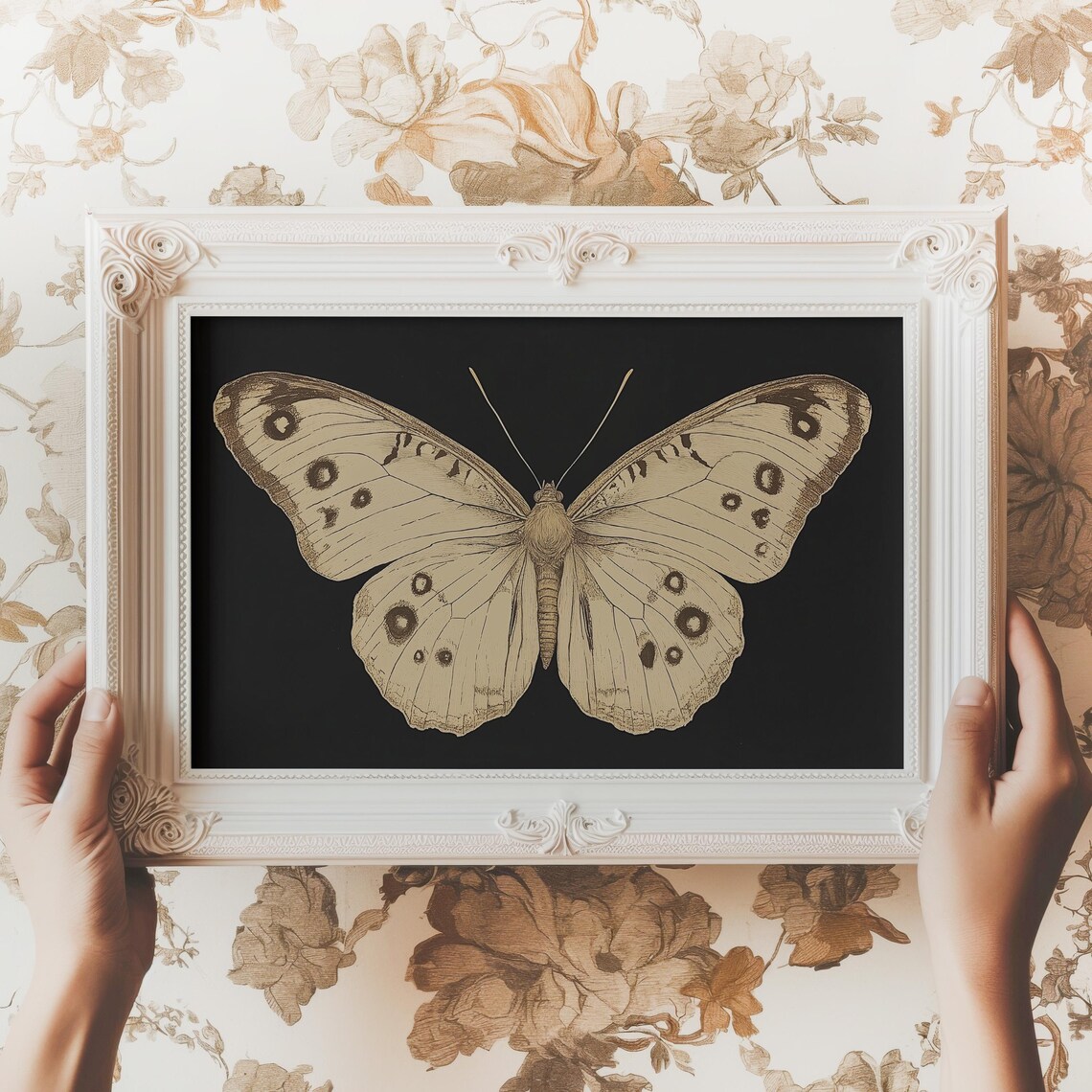 Vintage White Butterfly Print Moody Dark Insect Wall Art Moth Painting Cottagecore Decor