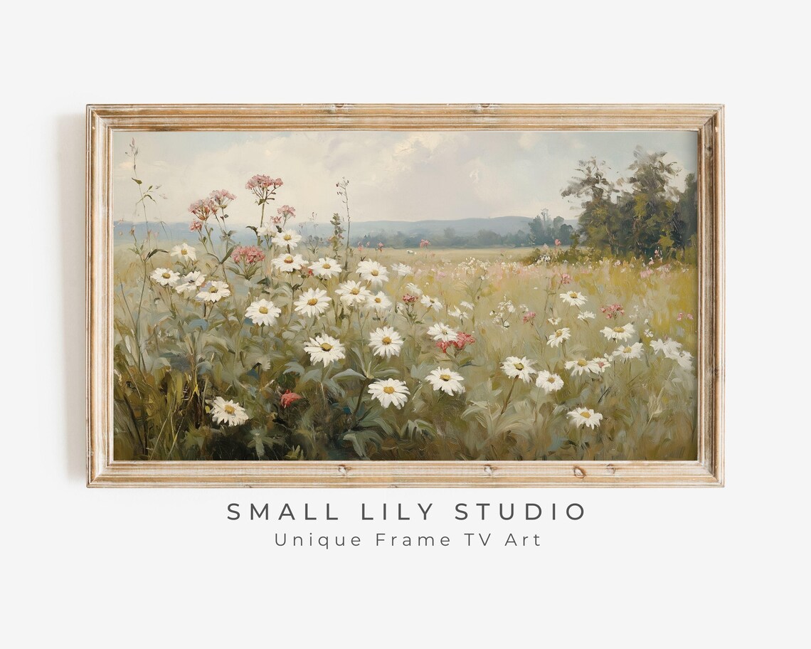 Daisy And Pink Wildflower Field Spring Country Meadow Poster