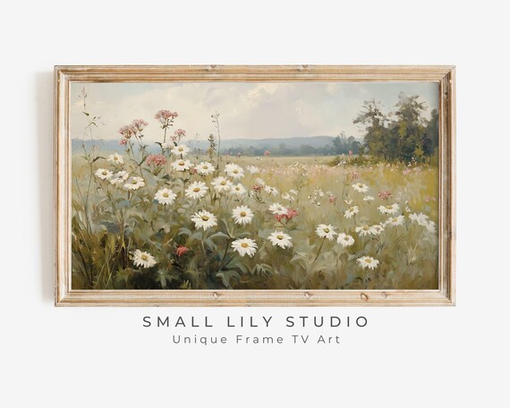 Daisy And Pink Wildflower Field Spring Country Meadow Poster