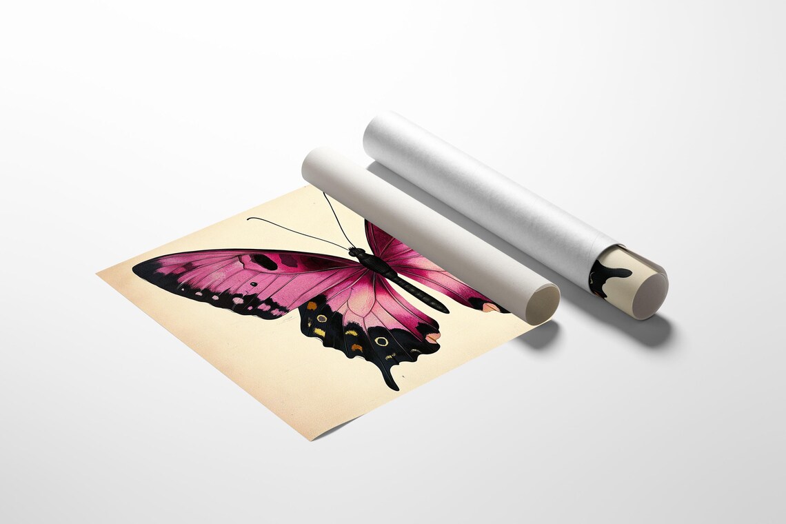 Pink Butterfly Vintage Insect Illustration, Botanical Charm - Image 4