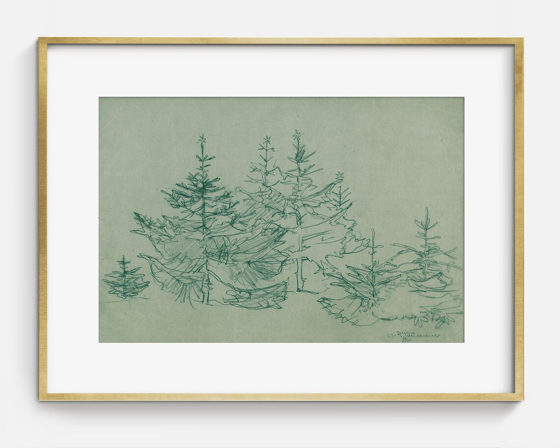 Evergreens Vintage Christmas Trees, Antique Drawing - Image 2