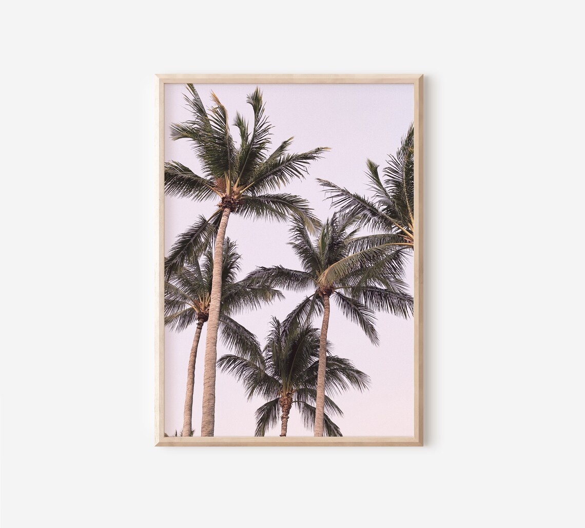 Tropical Palm Trees Pink Sunset Travel Poster
