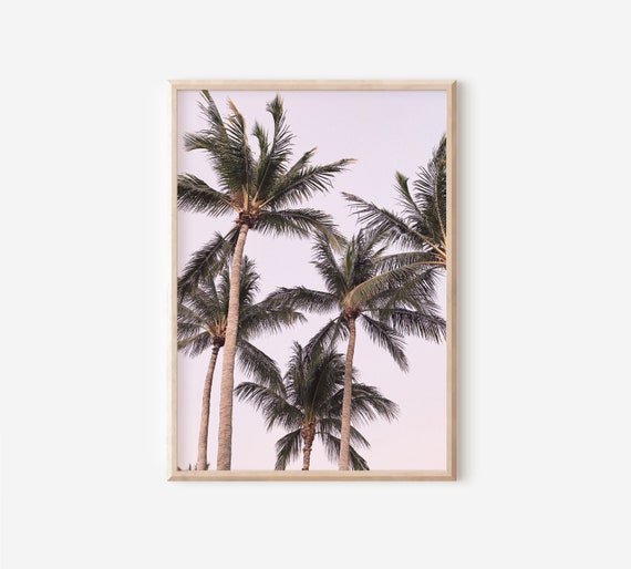 Tropical Palm Trees Pink Sunset Travel Poster