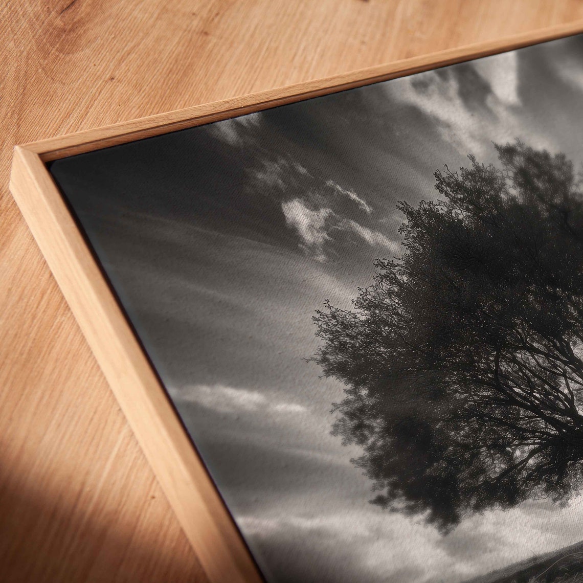 Lone Tree With Exposed Roots Black And White Field Dramatic Sky Poster - Image 2