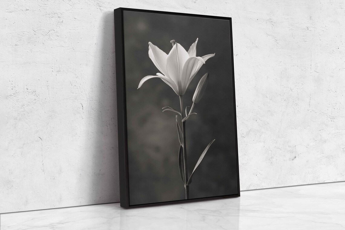 White Lily Flower Black And White Dark Background Floral Art Print - Image 4