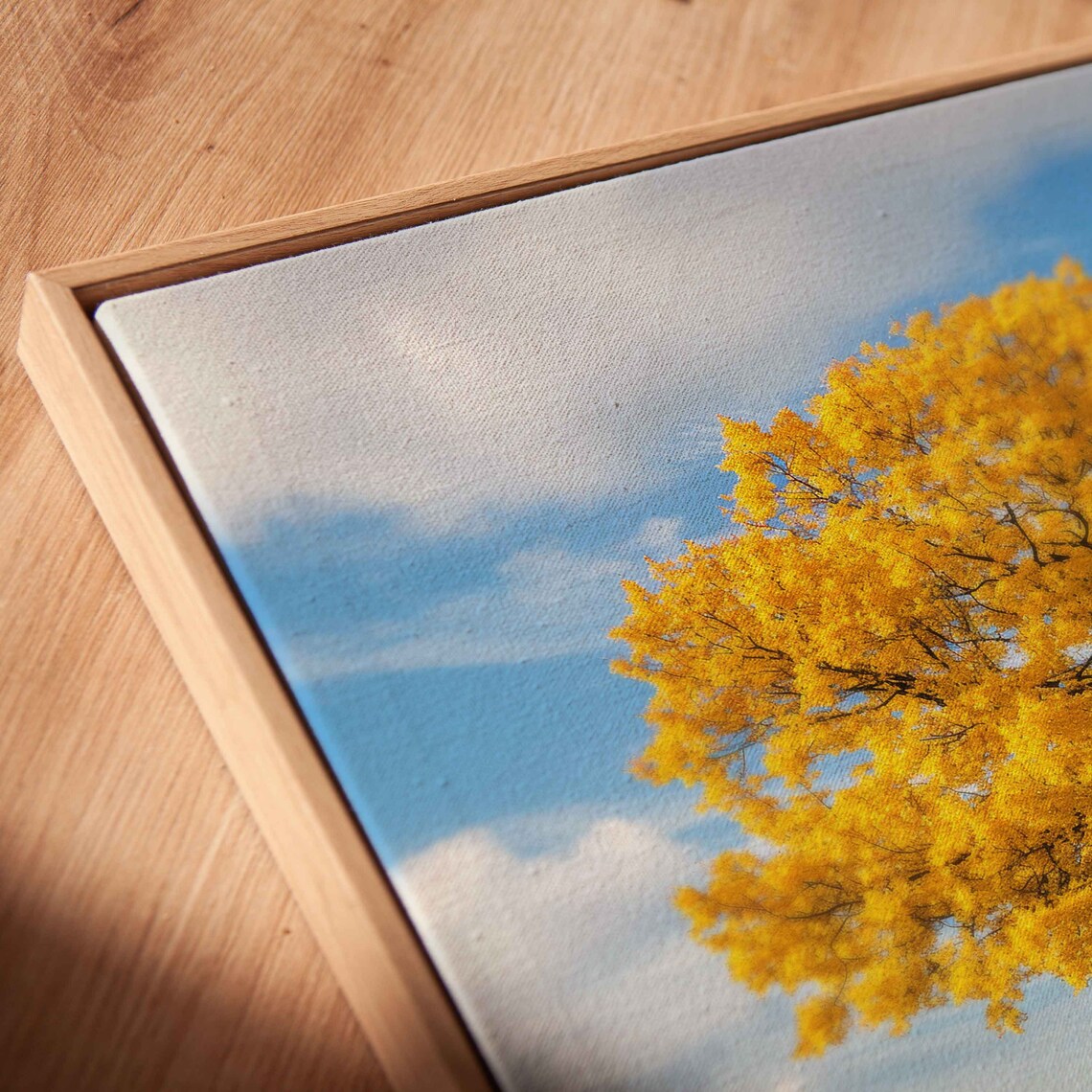 Lone Golden Tree In Open Field Under Blue Sky Nature Photo Poster - Image 2