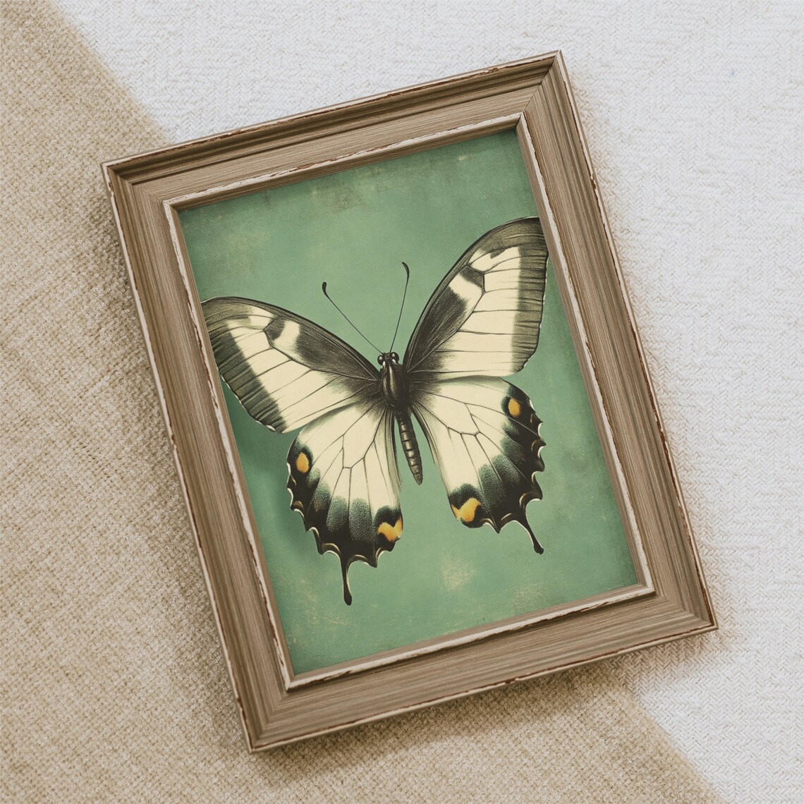 Vintage White Butterfly Print, Boho Insect Art