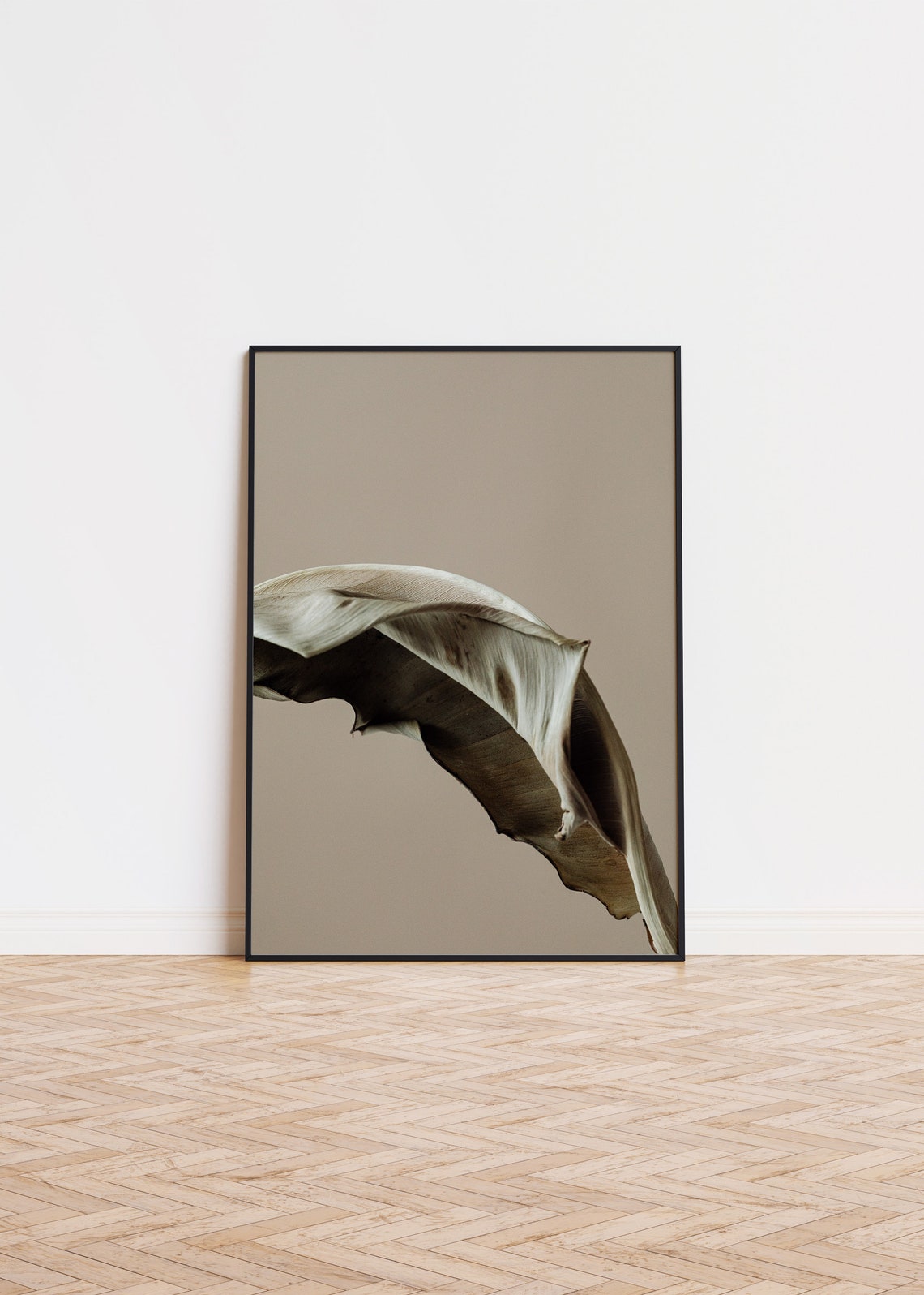 Elegant Dried Banana Leaf Minimalist Botanical Photography Poster
