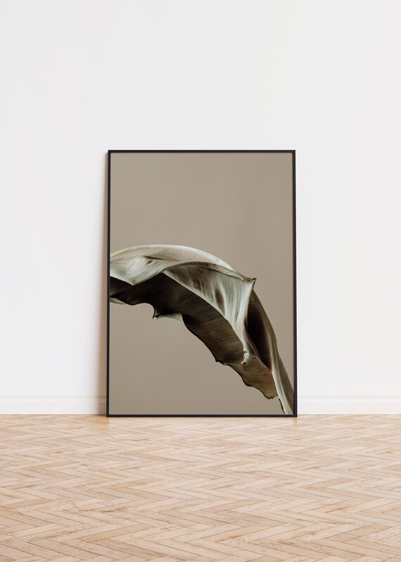 Elegant Dried Banana Leaf Minimalist Botanical Photography Poster
