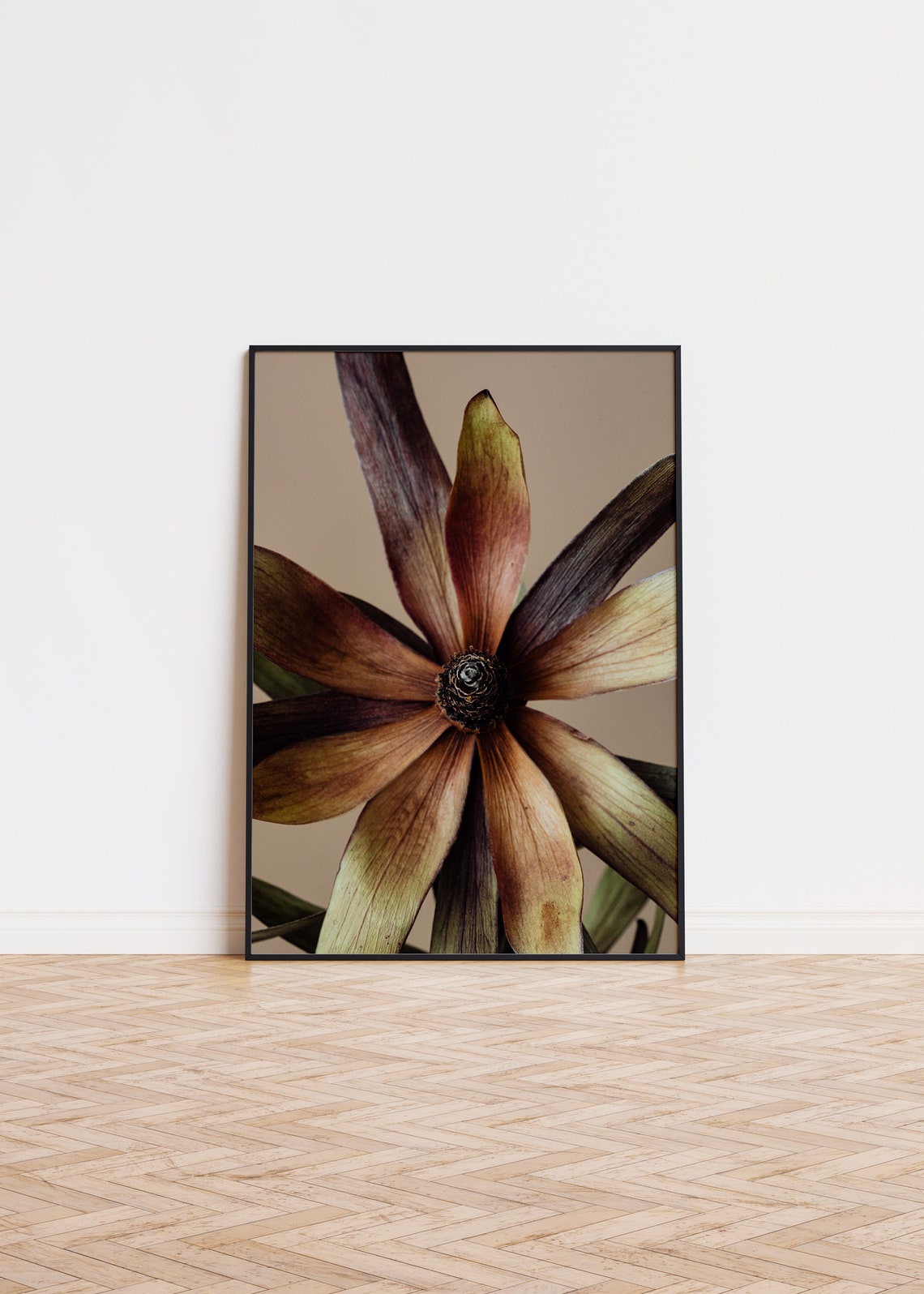 Dried Flower Macro Photography Dark Botanical Moody Floral Wall Print