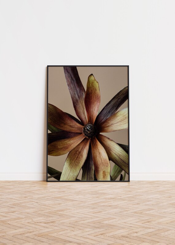 Dried Flower Macro Photography Dark Botanical Moody Floral Wall Print