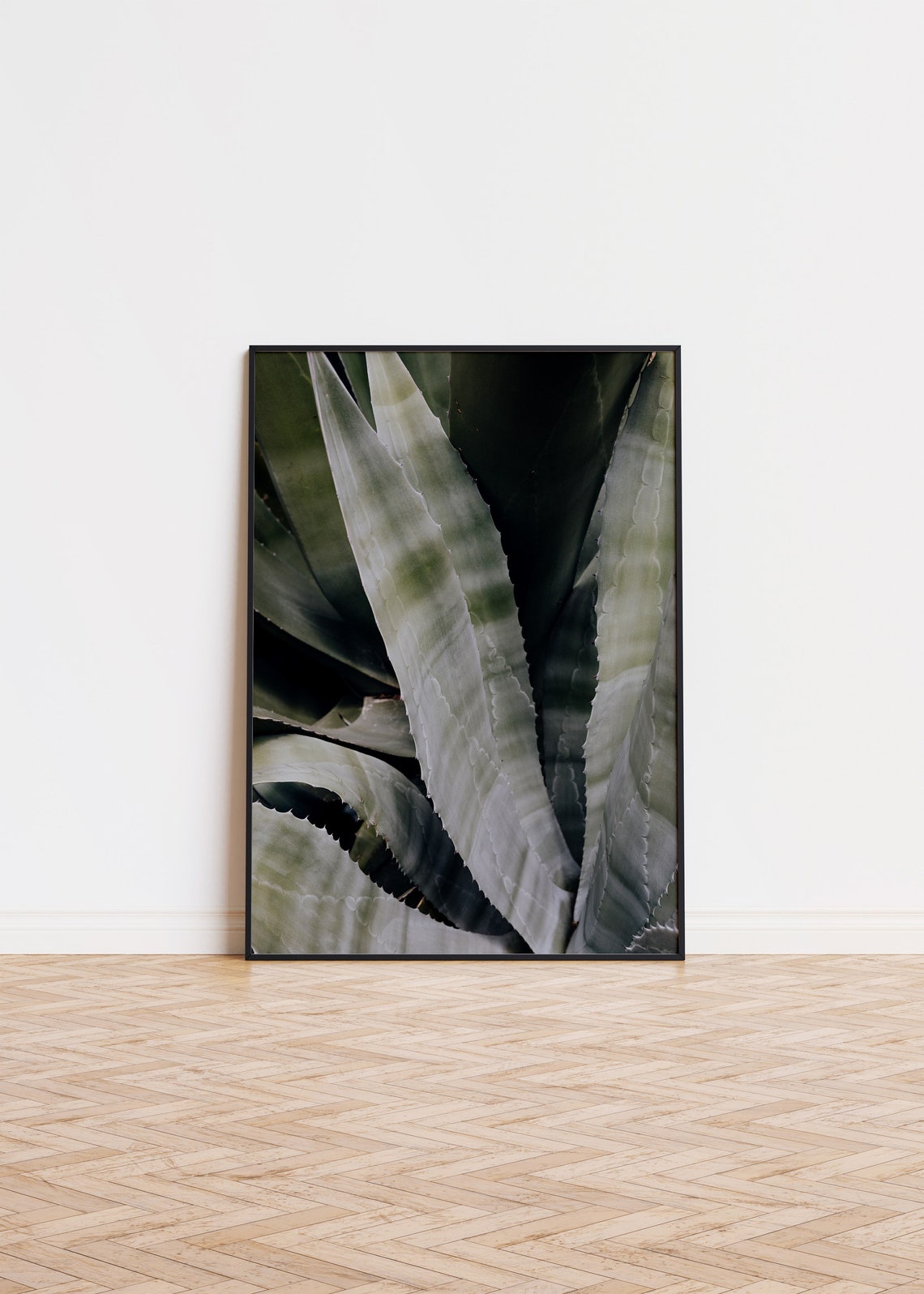 Dark Agave Leaves Close Up Botanical Photography Wall Decor Poster