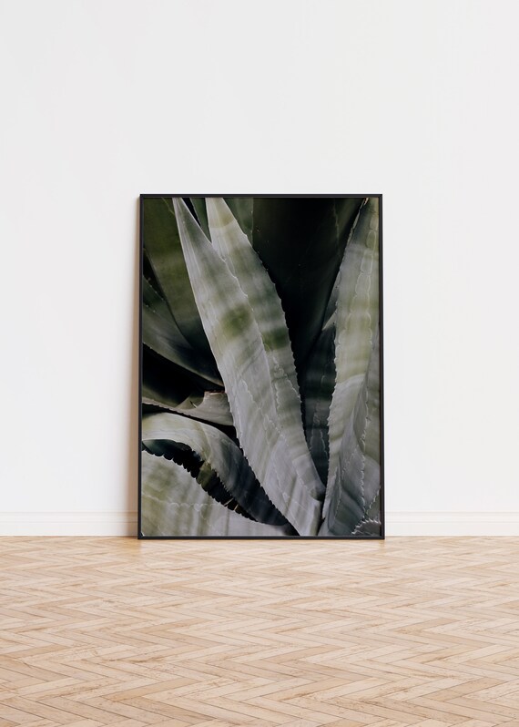 Dark Agave Leaves Close Up Botanical Photography Wall Decor Poster