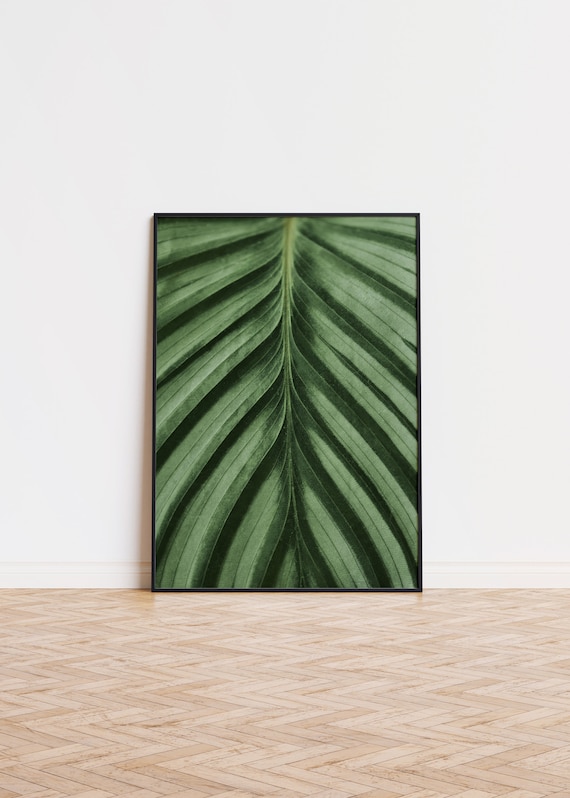 Green Palm Leaf Macro Tropical Botanical Photography Decor Poster