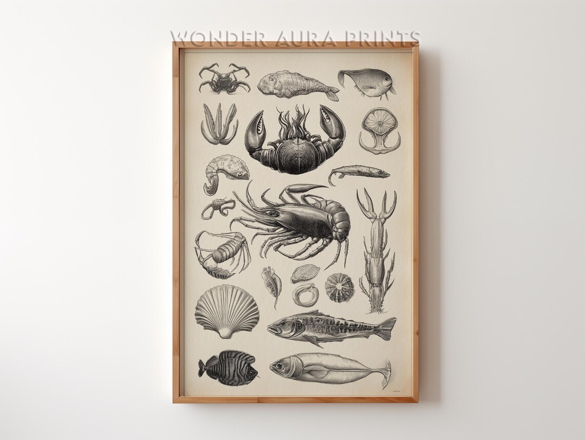 Vintage Engraved Sea Life Chart Lobster Prawn Fish Ocean Poster
