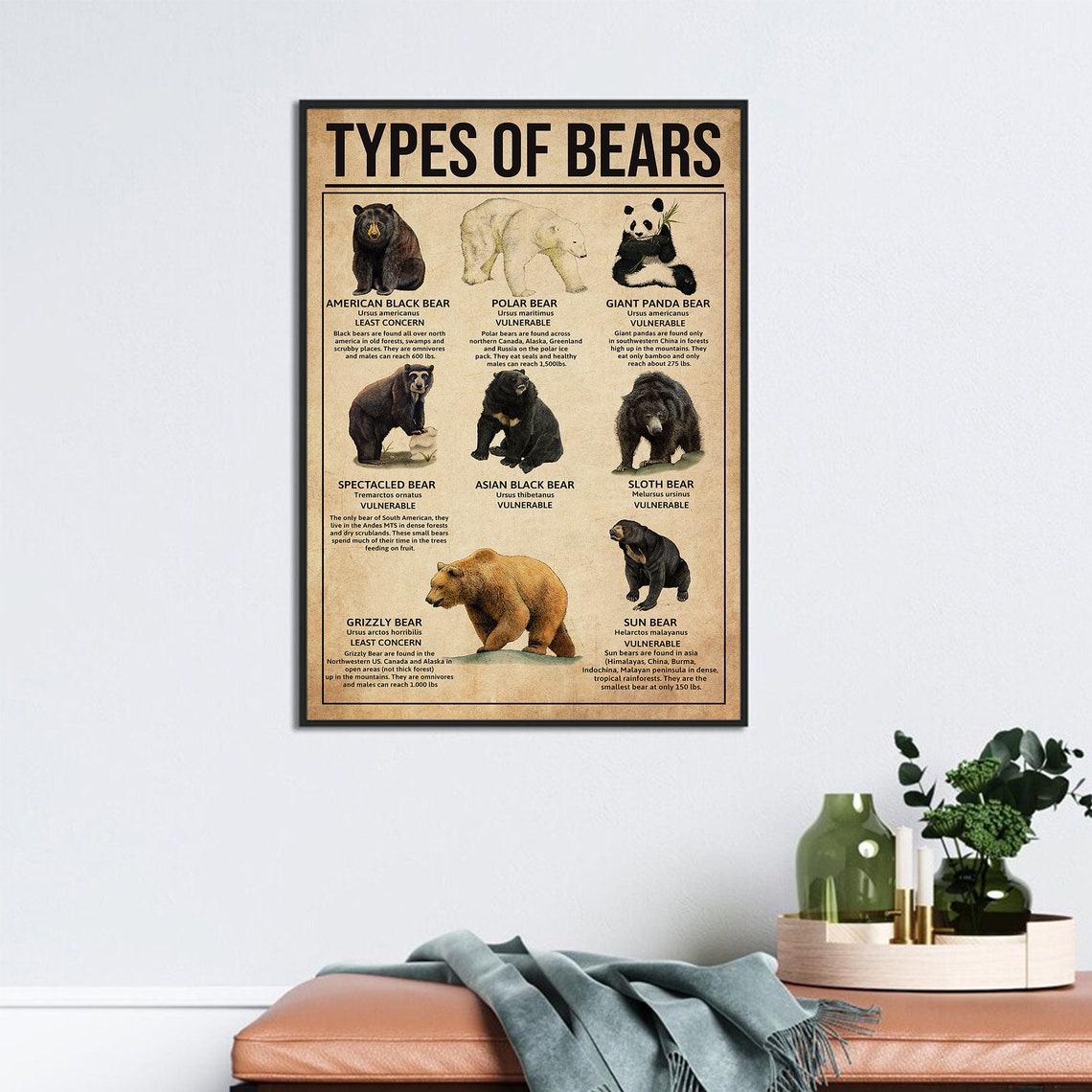 Types Of Bears Chart Black Polar Panda Grizzly Species Poster - Image 3