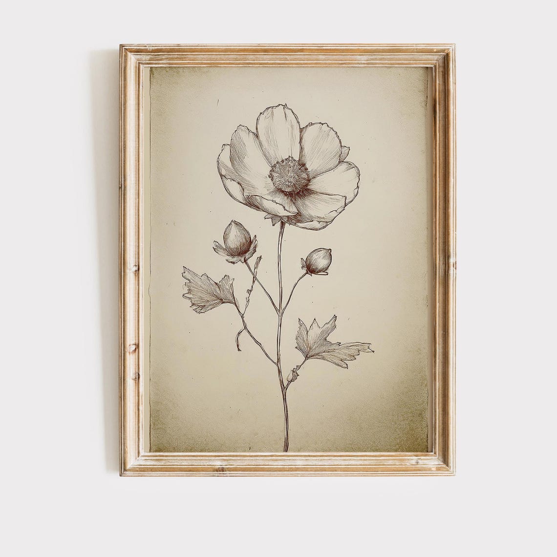 Single Wildflower Botanical Line Sketch Vintage Sepia Wall Art