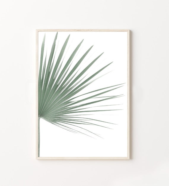 Palm Leaf Tropical Art Print, Plant Decor