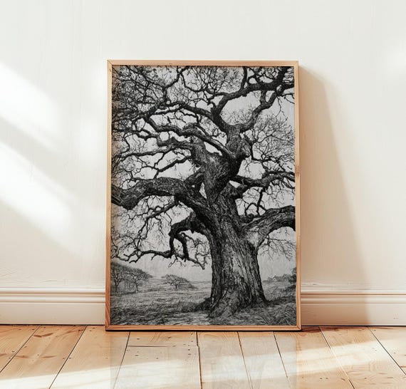 Gnarled Oak Tree Art Print, Botanical Nature Poster