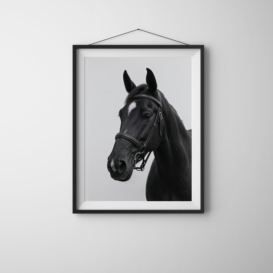 Black and White Horse Portrait Bridle Monochrome Photo Art Poster