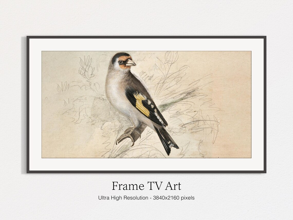 European Goldfinch Perched on a Branch Vintage Bird Illustration Print - Image 5