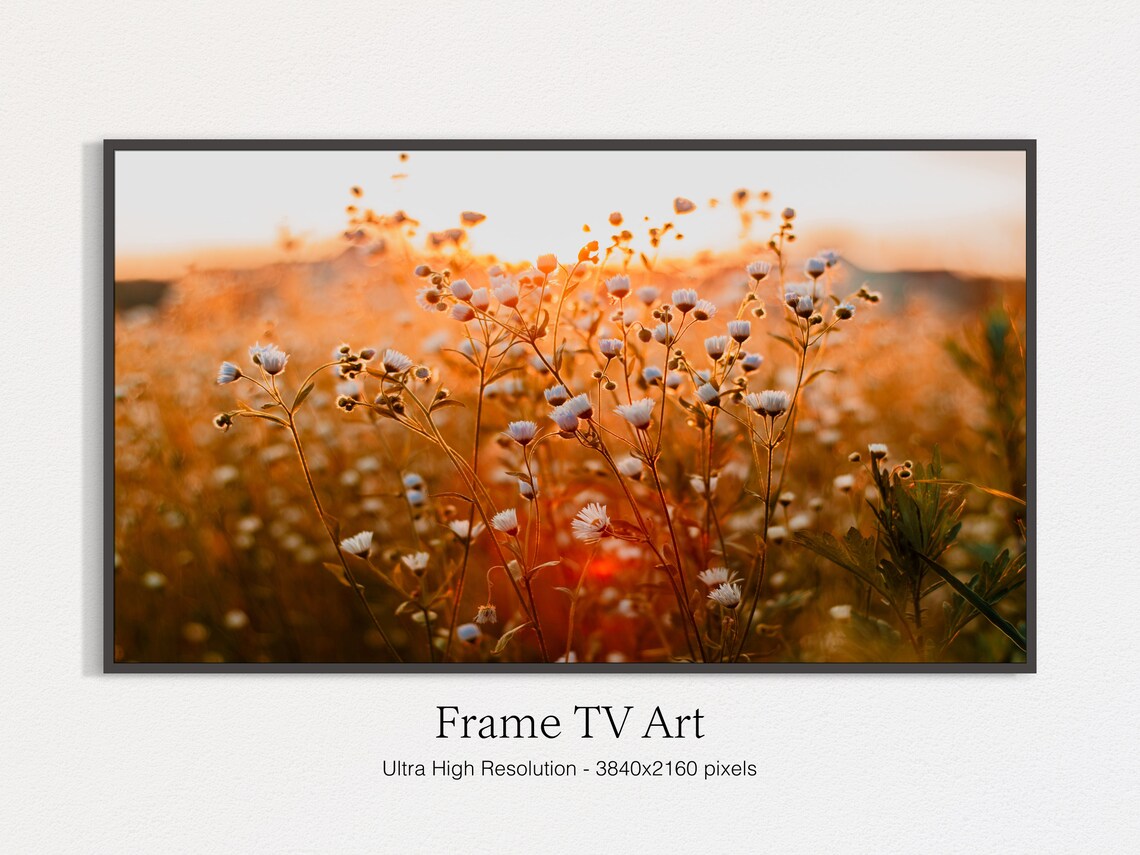 Autumn Landscape Bokeh Fall Landscape TV Art
