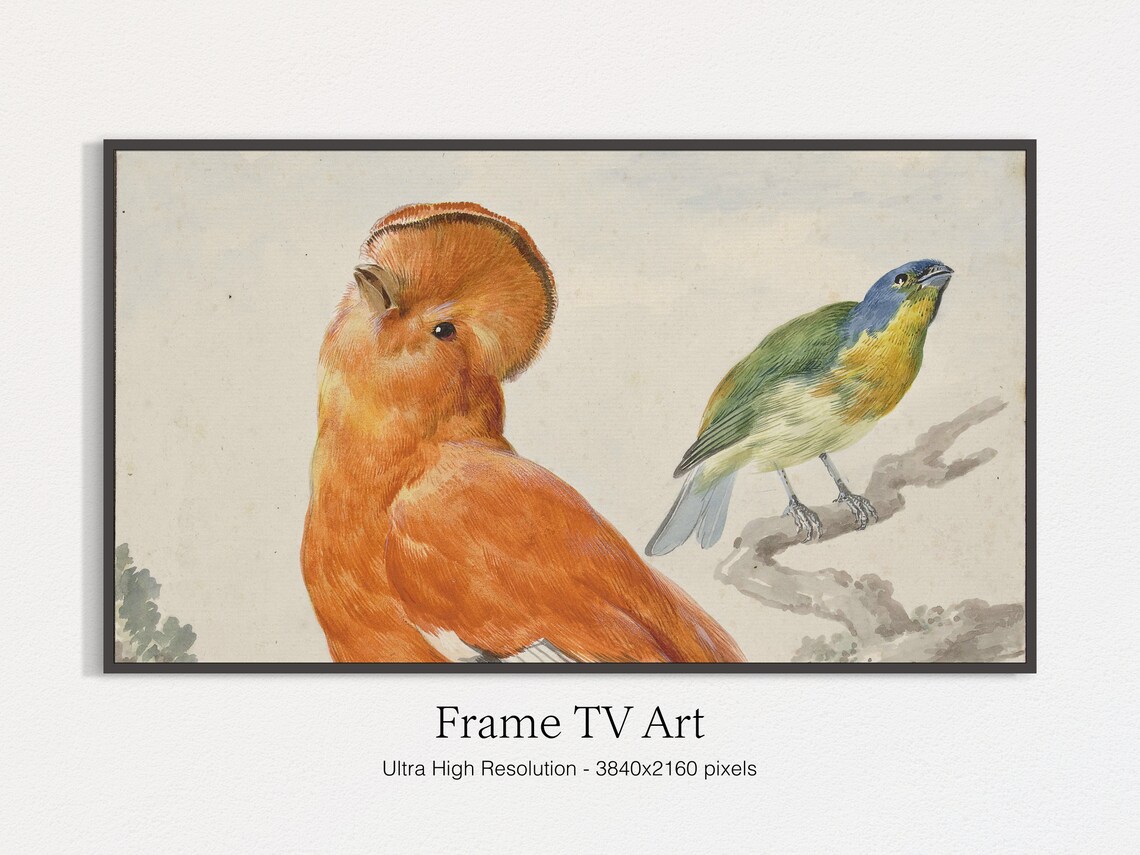 Vintage Exotic Birds Illustration Orange and Blue Bird Pair Art Print