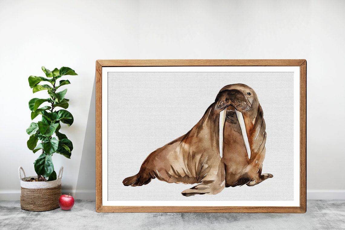 Walrus Watercolor Art Print, Ocean Animal Decor - Image 3