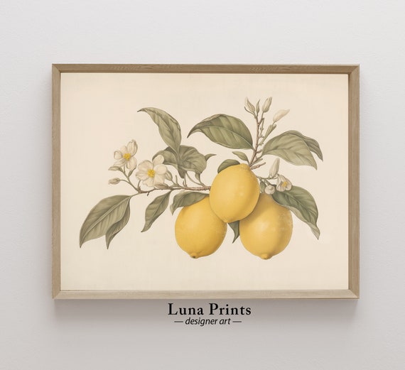 Aged Lemon Botanical Art Vintage Fruit Illustration