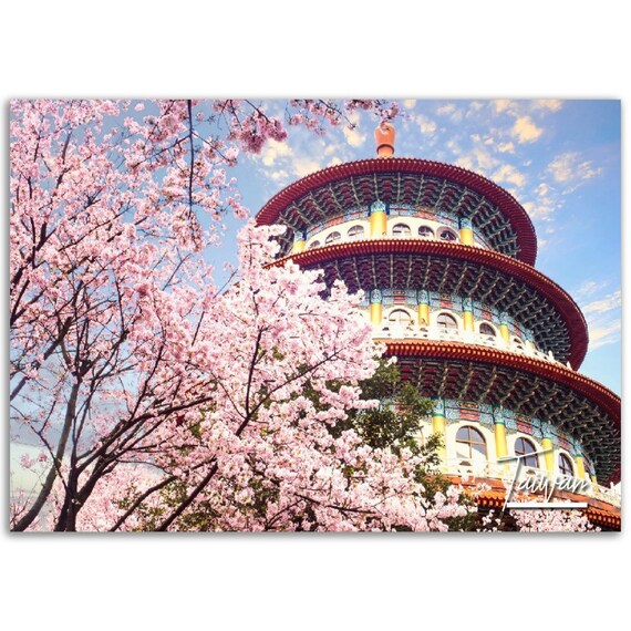 Taiwan Cherry Blossom Temple Pagoda Spring Bloom Photo Poster