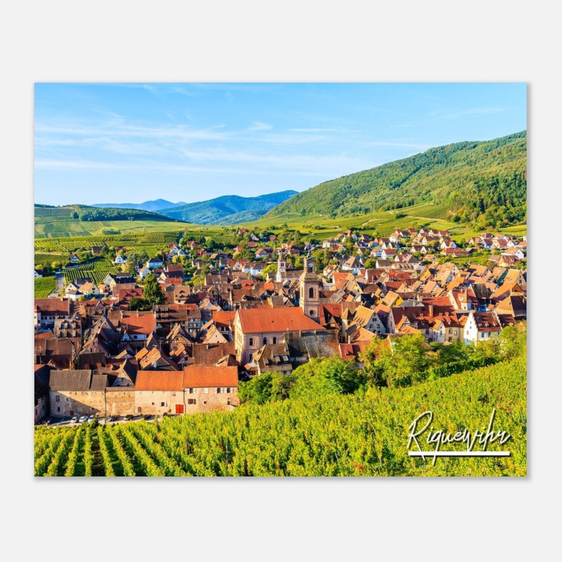 Riquewihr Alsace France Vineyard Village Landscape Travel Poster